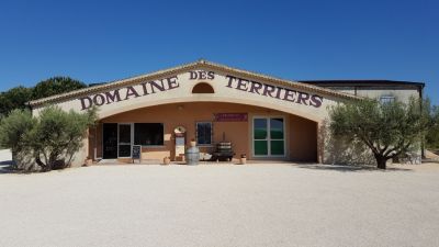 Bienvenue au Domaine des Terriers